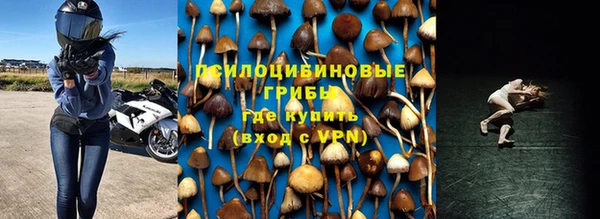 а пвп мука Алексеевка
